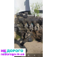 Двигун Renault Kango, K9K, 2015, 1.5 л дизель.