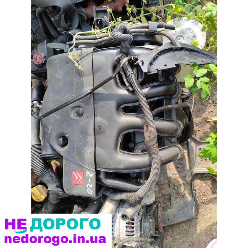 Двигун 1.9 DW8,XUD9 для Citroen Berlingo, Jumper, Peugeot Partner. Випущений у 90-х. Паливо - дизель.