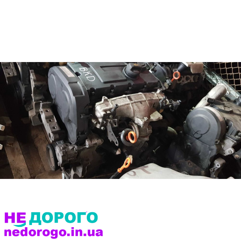 Двигун BKD 2.0TDI 103кВт для Golf 5, Touran, Octavia, A3, Altea. Випущений в Україні. Об'єм - 2.0 л, паливо - дизель.
