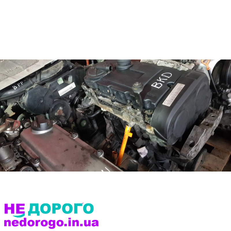 Двигун BKD 2.0TDI 103кВт для Golf 5, Touran, Octavia, A3, Altea. Випущений в Україні. Об'єм - 2.0 л, паливо - дизель.