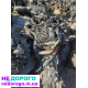 Двигун JXFA JXFC Ford Transit 2.4 tdci 115 кс 2006-2014, об'єм 2.4 л, дизель.