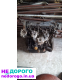 Двигун XU10J2, КПП BE3, Паливо бензин, PEUGEOT 405, 1993, 2.0 л.