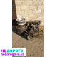Двигун XU10J2, КПП BE3, Паливо бензин, PEUGEOT 405, 1993, 2.0 л.