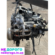 Двигун мотор ZD30 для Nissan Terano/Pathfinder 3.0 tdi, випущений у 2000-х роках, об'єм 3.0 літра, працює на дизельному паливі.