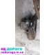 Коробка передач Deo Nexia 1.5-16V, 2008, 1.5 л, бензин.