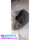Коробка передач Deo Nexia 1.5-16V, 2008, 1.5 л, бензин.