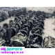 Коробка передач Ford Focus 2, Volvo V50, S40, C-Max, АКПП, українська, назва агрегату, модель, рік випуску, об'єм двигуна, паливо.