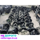 Коробка передач Ford Focus 2, Volvo V50, S40, C-Max, АКПП, українська, назва агрегату, модель, рік випуску, об'єм двигуна, паливо.