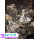 Коробка передач КПП Ford Custom, MT82, 2012, 2.2 л дизель.