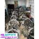 Кпп Passat B7 B8 1.6-2.0 TDI/MPI/FSI, 2010-2021, українська збірка.