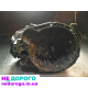КПП Ремонт/Продаж Renault Master Opel Movano 2.2 2.3 2.5 2.8 3.0