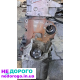 Двигун Audi A4 (B8) 2.0 TDI (CAHA, CAGC) 2008 2.0 л дизель.