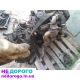 Мотор двигун Volkswagen Passat B3 B4 Golf 3 1.9TD 1991-1997 1.9 л дизель.