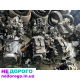 Двигун BMP для Volkswagen Passat B6, Golf 5, Skoda A5, Fabia. Рік випуску - 2005-2010. Об'єм - 1.9 л. Паливо - дизель.
