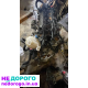 Двигун Fiat Doblo, Dodg 2,4 Мултиджет Multiget, АКПП, 2018, 2,4 л, дизель.