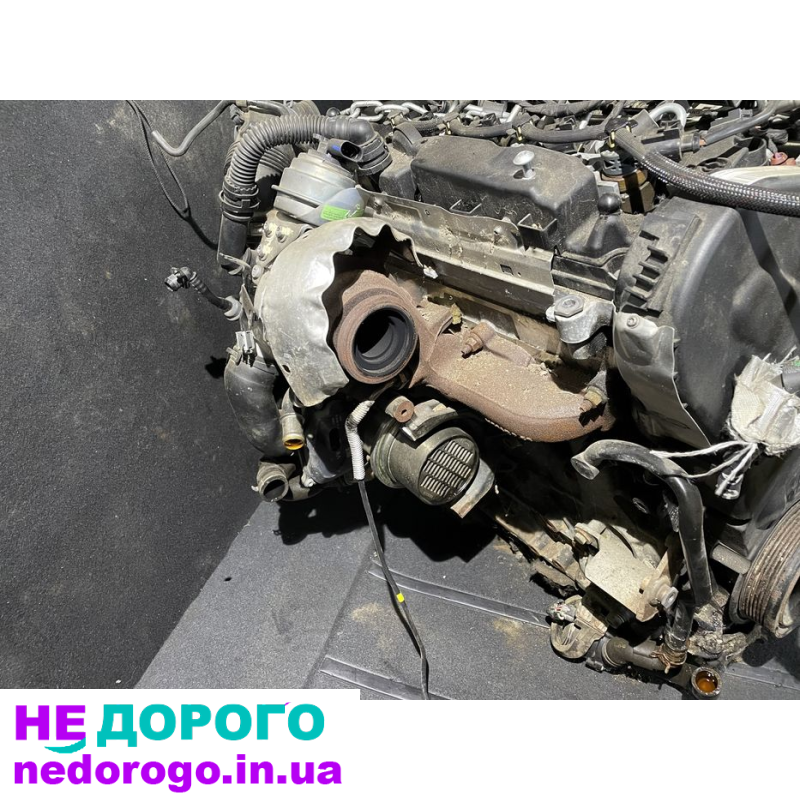 Двигун 2.0 TDI від Skoda та VW, встановлений у Passat, випущений у 2020 році. Об'єм - 2.0 літра, працює на дизельному паливі.