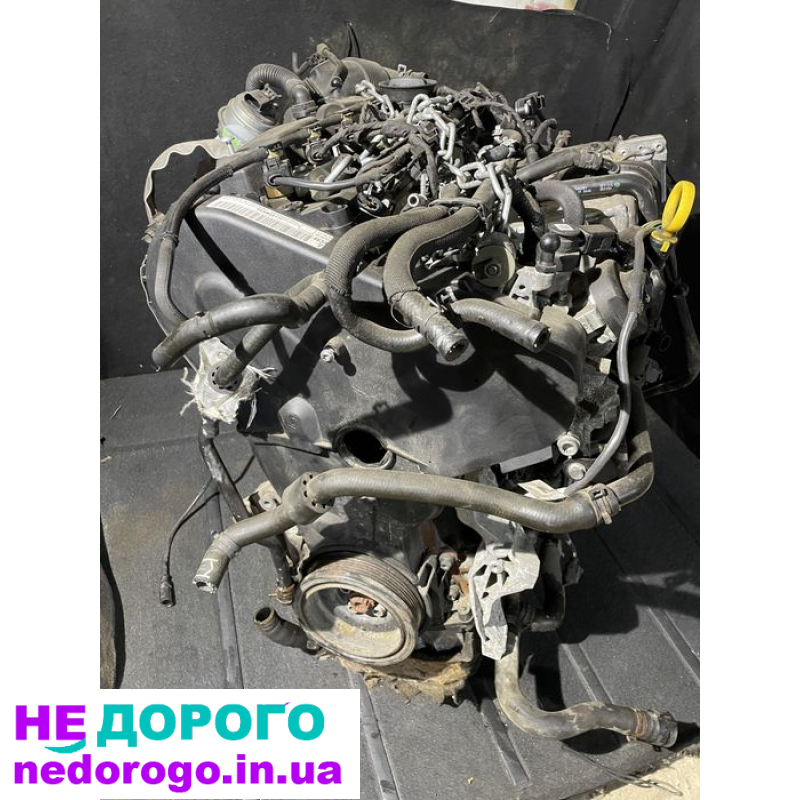 Двигун 2.0 TDI від Skoda та VW, встановлений у Passat, випущений у 2020 році. Об'єм - 2.0 літра, працює на дизельному паливі.