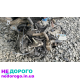 АКПП 2.0 1.6 Бензин Peugeot Citroen: AL4, 2000-2014, 2.0-1.6 л, бензин.