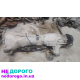 Автоматична коробка передач 4matic для Mercedes W124 3.0, 1990 рік, бензиновий двигун.