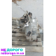 АКПП Ford Fusion 1.6, 2014 рік, бензин, об'єм двигуна 1.6 л.