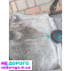 АКПП 7G-Tronic Mercedes W204 рестайлінг 98, пробіг  українською, праворуч, 2.0 л, бензин.
