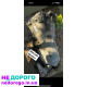 Акпп,коробка автомат BMW E60 M57 ,E39 M51,E36 M43 Кардан Кулиса Травер