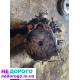 АКПП Honda Accord 8 08-15 2.2 дизель MM8A.