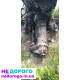 АКПП Mercedes ML W164 GL X164 OM642 3.0 CDI 1642703902, 2005, 3.0 л дизель.