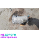АКПП КПП 722.684 для Mercedes Sprinter W906 2.2 cdi OM646 2006 рік.