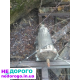 Автоматична коробка передач Lexus LS 400 1993, 4.0 л бензин.