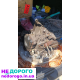 Кожух АКПП Mazda CX-7 2.5 л 2011 р.в. Гідроблок та блок управління.