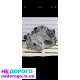 АКПП MPJ DSG7 Skoda Superb Oktavia WV Passat golf Touran Kaddy