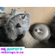 АКПП Subaru Tribeca B10 3.6 2007-2014 год редуктор
