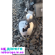 АКПП Volvo S60 2.0D 2008 2.0 л дизель, S80 2.4D 2007 2.4 л дизель, Citroen C5 2.0HDi 2006 2.0 л дизель, Peugeot 407 2.2HDi 2005 2.2 л дизель, 607 2.7HDi 2004 2.7 л дизель.