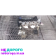 Двигун Chevrolet Aveo T200-T250 1.5 109т.км, укр., 2006, 1.5 л, бензин.