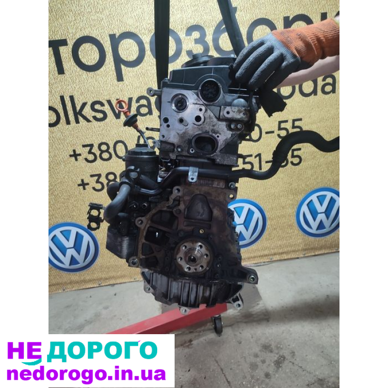 Двигун BKD 2.0 TDI для Пассат б6 та Октавія, випущений в Україні. Назва: BKD 2.0 TDI, модель: Пассат б6 та Октавія, рік випуску: український, об'єм двигуна: 2.0 л, паливо: дизель.