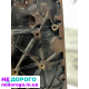 Блок двигуна OM612 2.7 для Mercedes-Benz, 2000 р., 2.7 л, дизель.