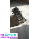 Блок двигуна 1.9 Multijet 2007р.в., 1.9л, дизельне паливо.