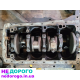Блок двигуна Volkswagen 1.9tdi BXE, 2008, 1.9 л, дизель.