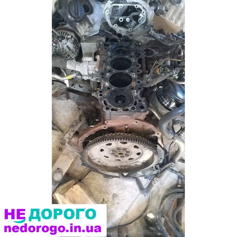 Блок двигуна Nissan Navara Pathfinder 2.5dci, 2005, 2.5 л дизель.