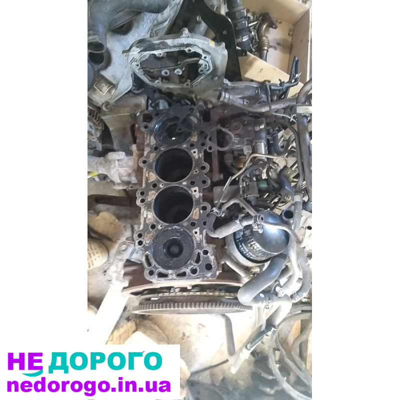 Блок двигуна Nissan Navara Pathfinder 2.5dci, 2005, 2.5 л дизель.