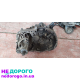 Блок двигуна Renault Scenic 2.0 бензин 2008 2.0 л 16 клапанів 140 к.с. КПП в комплекті.