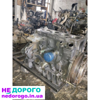 Блок двигуна Renault Kangoo 1.9 d F8T, 1997 рік, 1.9 л, дизель.