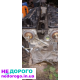 Блок, головка,поршня Пежо 307   бензин.