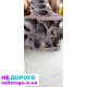 Блок мотору Ford 2.0 дизель, 2015 рік, об'єм двигуна 2.0 літра, паливо - дизель.