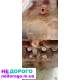 Блок мотору Ford 2.0 дизель, 2015 рік, об'єм двигуна 2.0 літра, паливо - дизель.