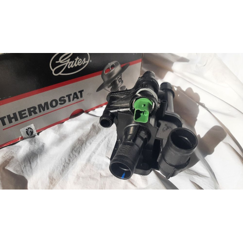 Термостат TH40883G1