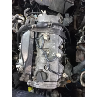 Двигун YD25 YD25DDTI 2.5 Nissan Navara D40 Pathfinder R51 Мотор 2.5 Ні