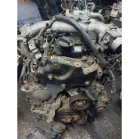 Двигун Nissan Murano 2.5 dCi (Z51) 2008-2016 YD25DDTi  навара нісан