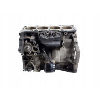Блок двигуна dv6 для Ford Focus 1.6, 2004 рік, об'єм 1.6 л, дизель.